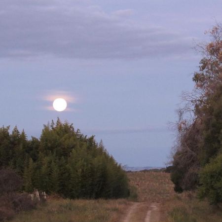Isla PatrullaEl Rancho De Chispero公寓 外观 照片