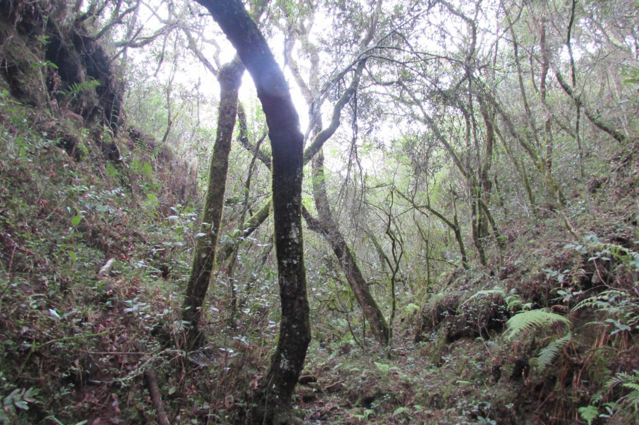 Isla PatrullaEl Rancho De Chispero公寓 外观 照片